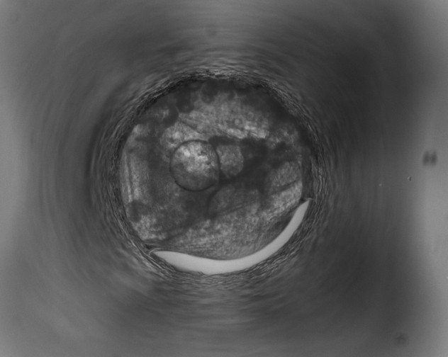 X0000115021009200911231245