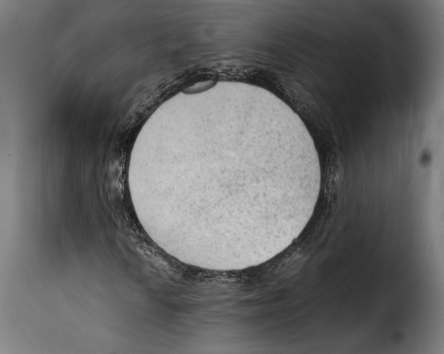 X0000115021010200911231245