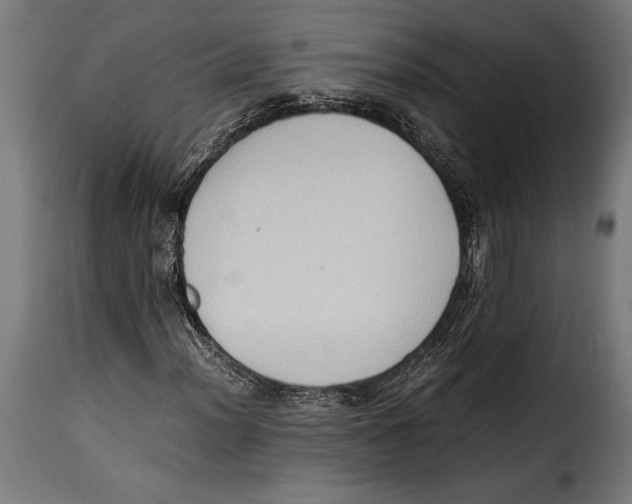 X0000115021012200911231245