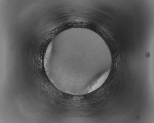 X0000115021013200911231245