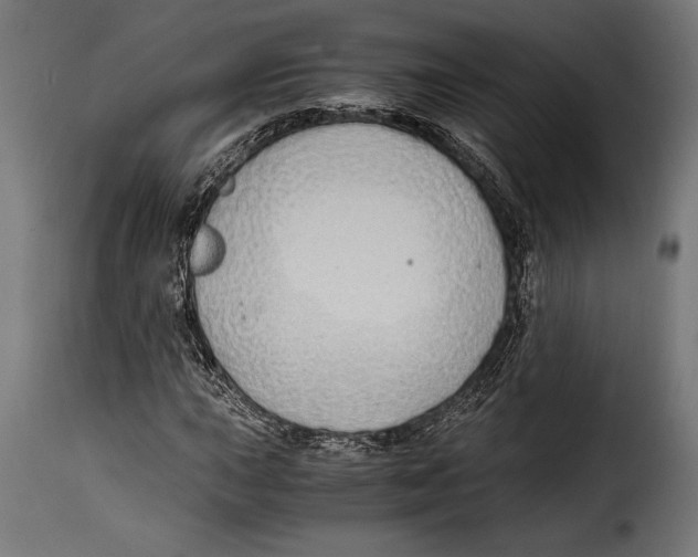 X0000115021015200911231245