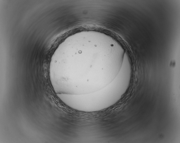 X0000115021016200911231245