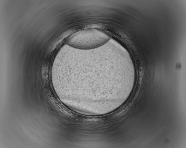 X0000115021017200911231245