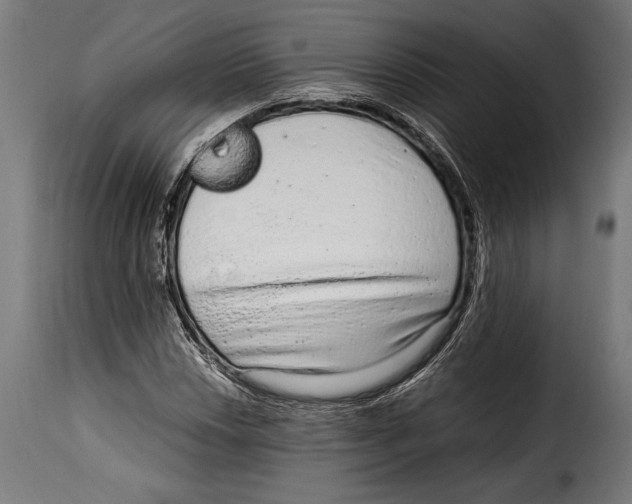 X0000115021018200911231245