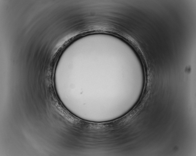 X0000115021019200911231245