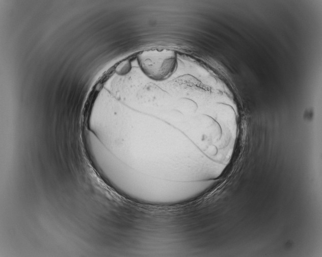 X0000115021020200911231245