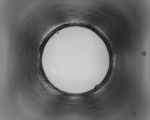 X0000115021021200911231245