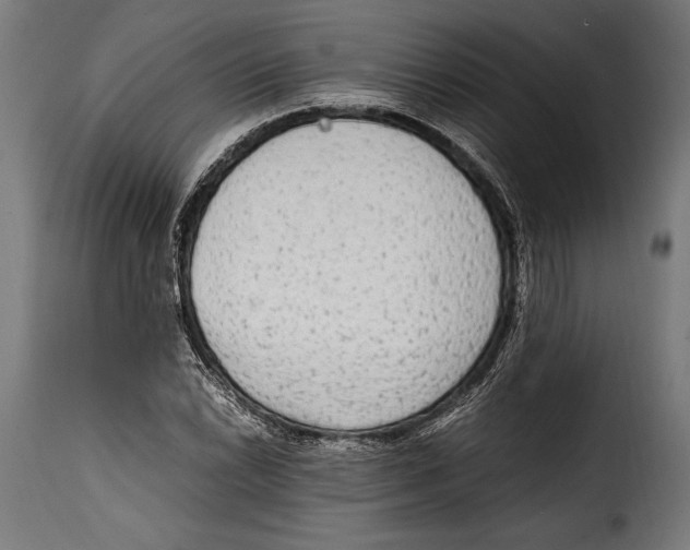 X0000115021022200911231245