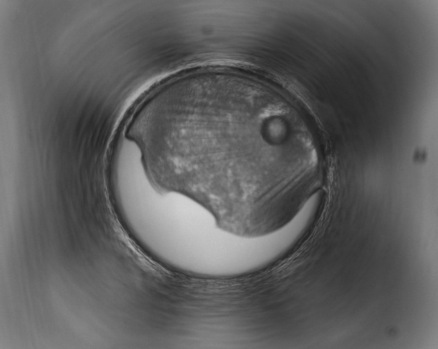 X0000115021024200911231245