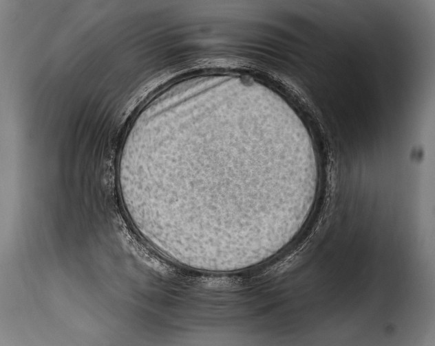 X0000115021025200911231245