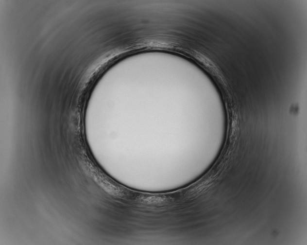 X0000115021027200911231245