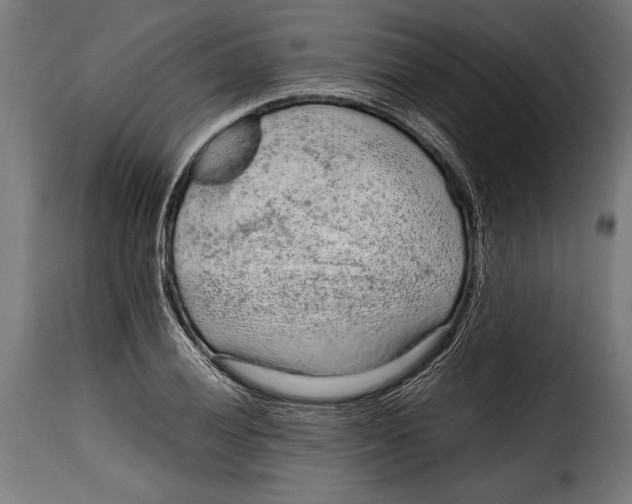 X0000115021028200911231245