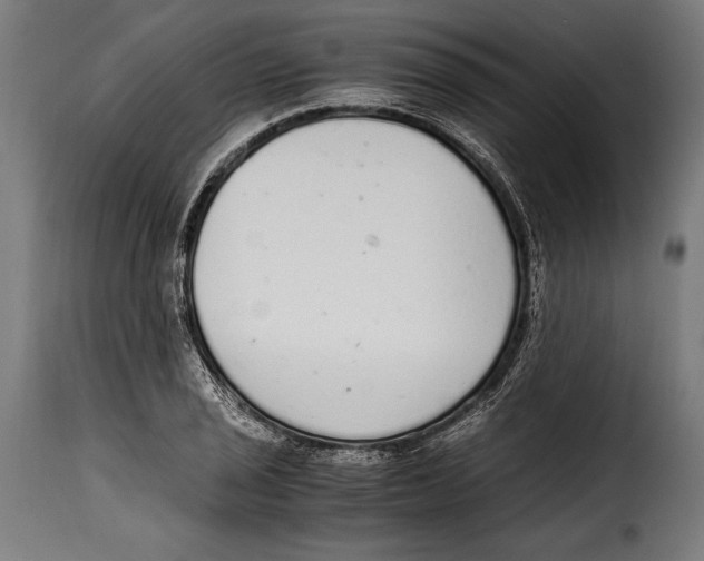 X0000115021029200911231245