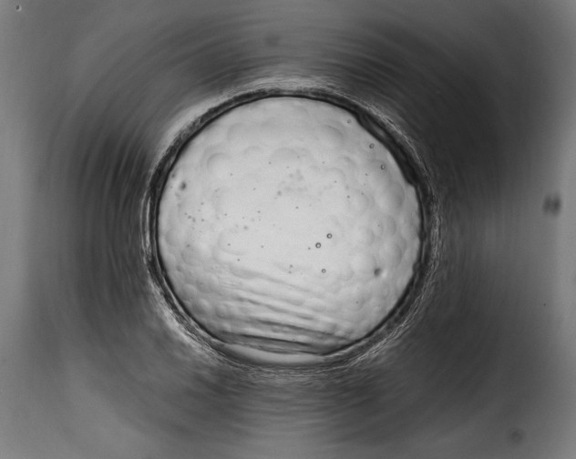 X0000115021030200911231245