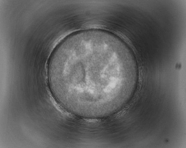 X0000115021031200911231245