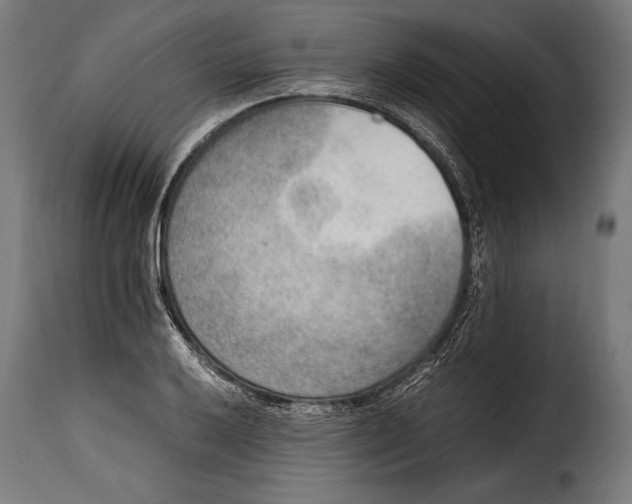 X0000115021032200911231245