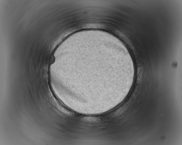 X0000115021033200911231245