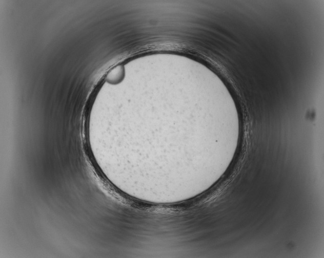 X0000115021034200911231246