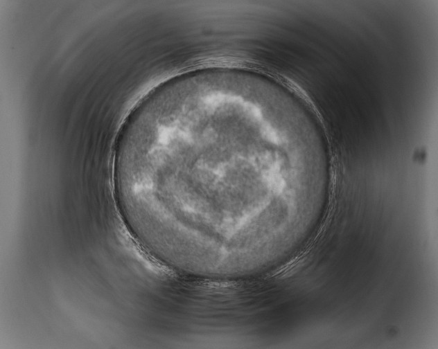 X0000115021035200911231246