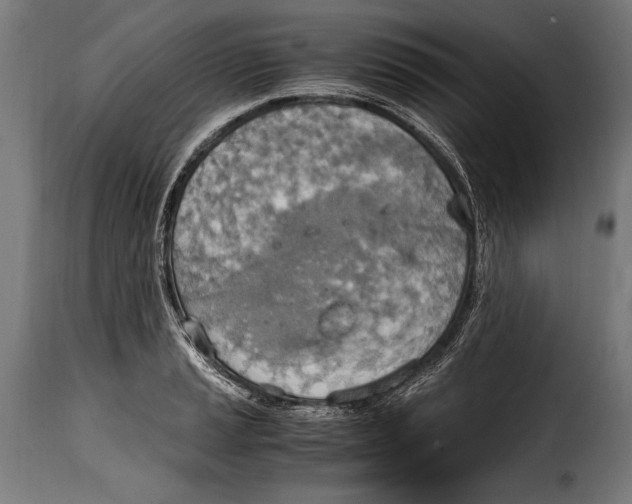 X0000115021037200911231246