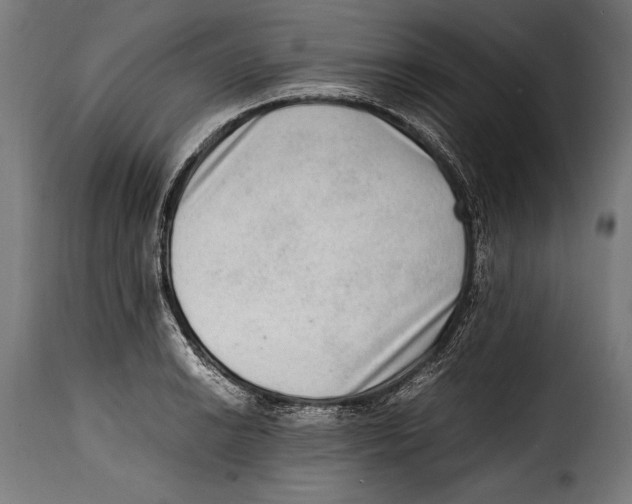 X0000115021038200911231246