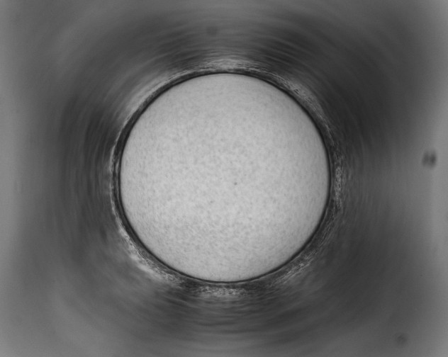 X0000115021039200911231246