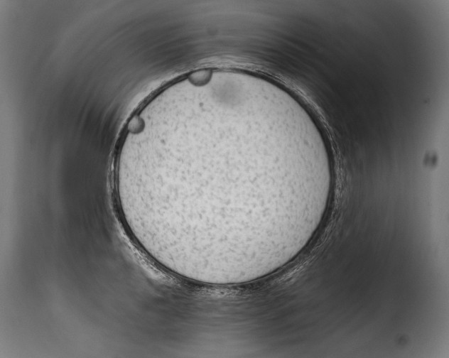 X0000115021040200911231246