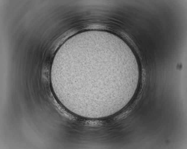 X0000115021041200911231246