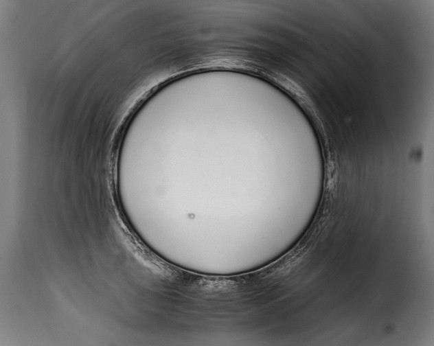 X0000115021043200911231246