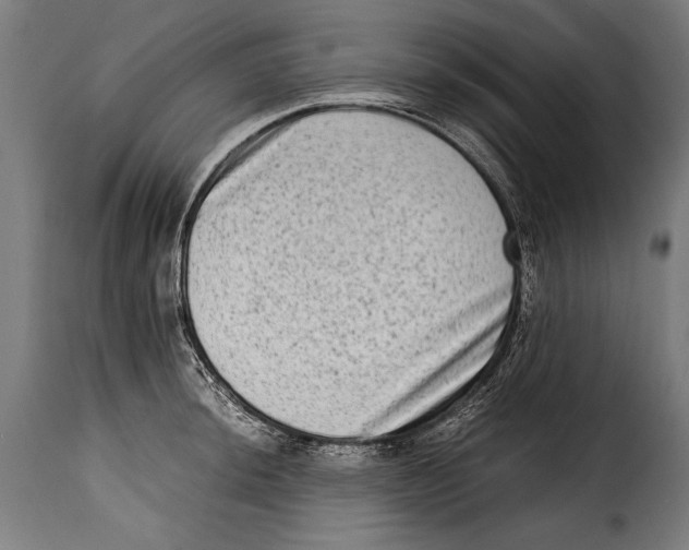 X0000115021044200911231246