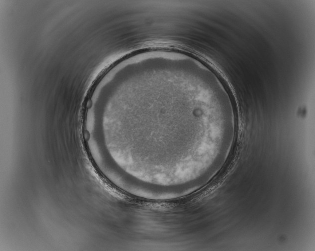 X0000115021045200911231246