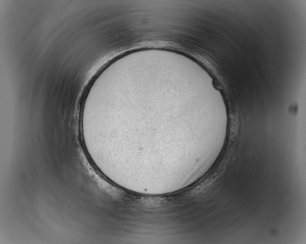 X0000115021046200911231246