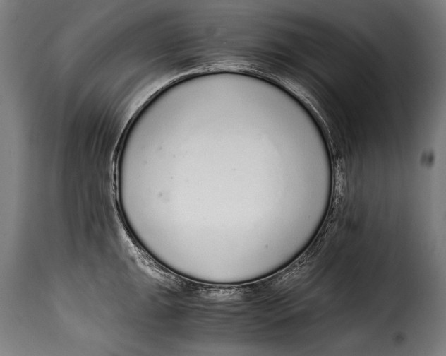 X0000115021047200911231246