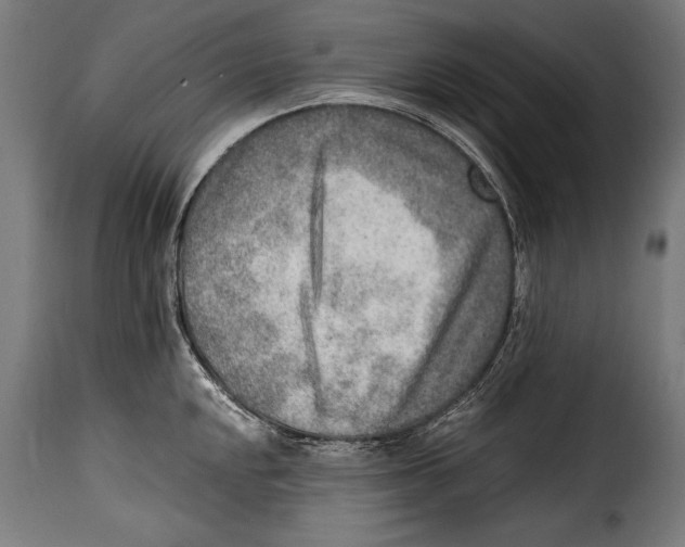 X0000115021048200911231246