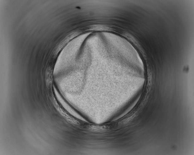 X0000115021049200911231246