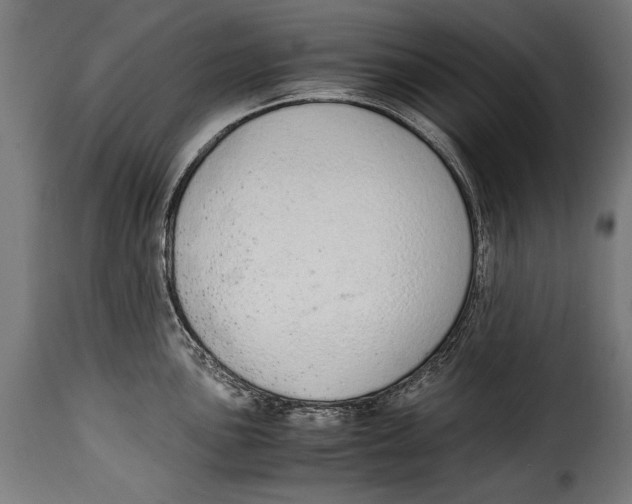 X0000115021051200911231246