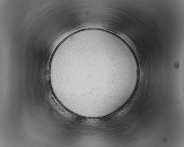 X0000115021052200911231246