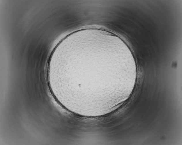 X0000115021054200911231246