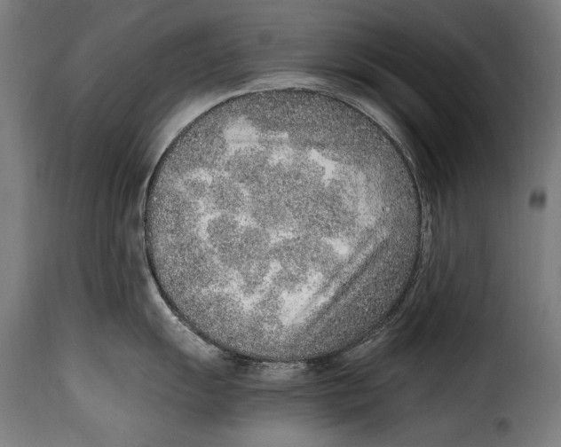 X0000115021055200911231246