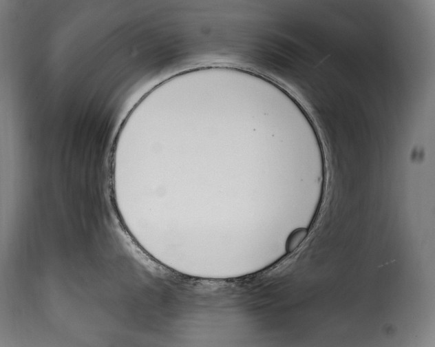 X0000115021056200911231246