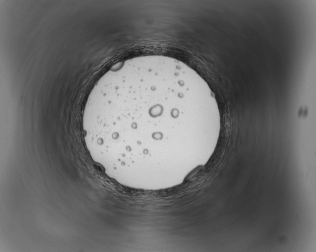 X0000115021057200911231245