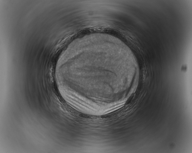 X0000115021060200911231245