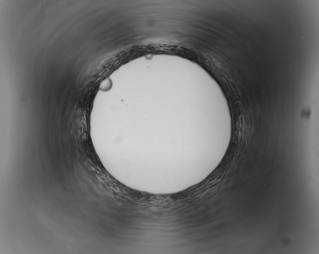 X0000115021062200911231245