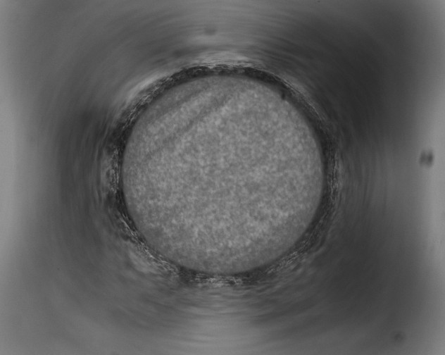 X0000115021063200911231245