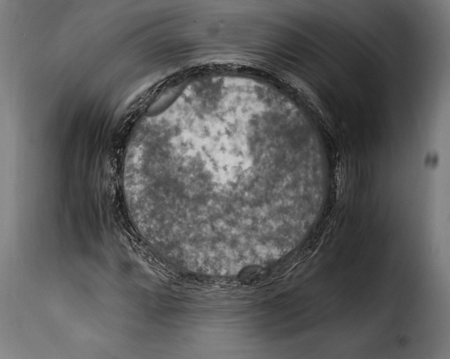 X0000115021064200911231245