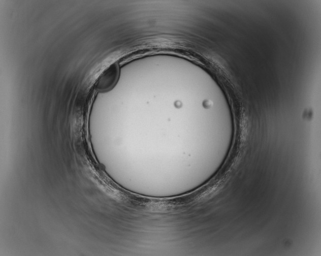 X0000115021065200911231245