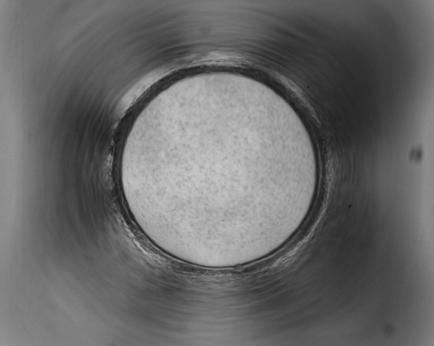 X0000115021066200911231245