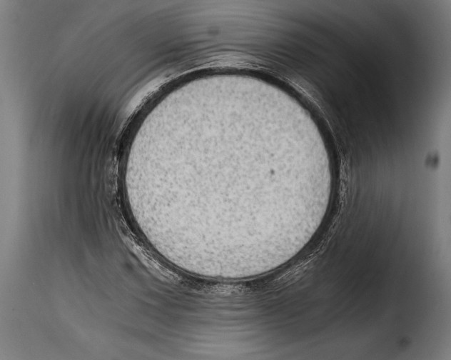 X0000115021067200911231245