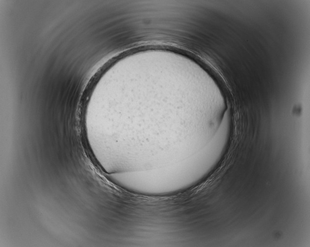 X0000115021068200911231245