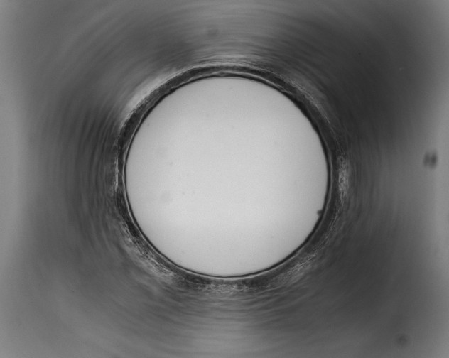 X0000115021069200911231245